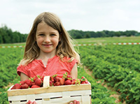 girlatstrawberryfield