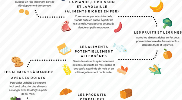 Les premiers aliments pour bébé : Une infographie par SavvyMom - SavvyMom