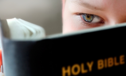 kid_bible_expert