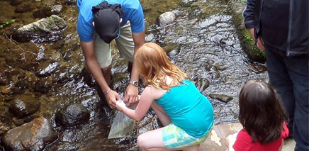 salmon_hatchery_vancouver