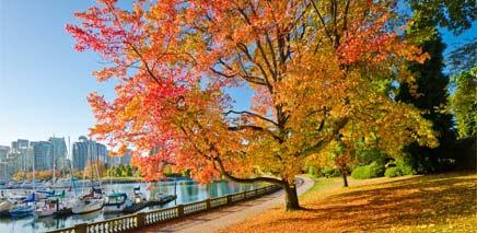 stanley_park_fall_colours_image_of_topic