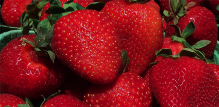 strawberries_vancouverNL