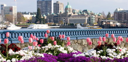 the_savvy_guide_to_March_in_Victoria