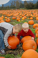 two_boys_in_a_pumpkin_patch