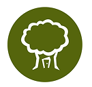 urban_treehouse_logo2