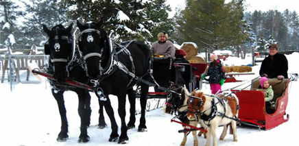 where_to_get_a_sleigh_ride_in_ottawa