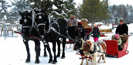 where_to_get_a_sleigh_ride_in_ottawa where_to_get_a_sleigh_ride_in_ottawa