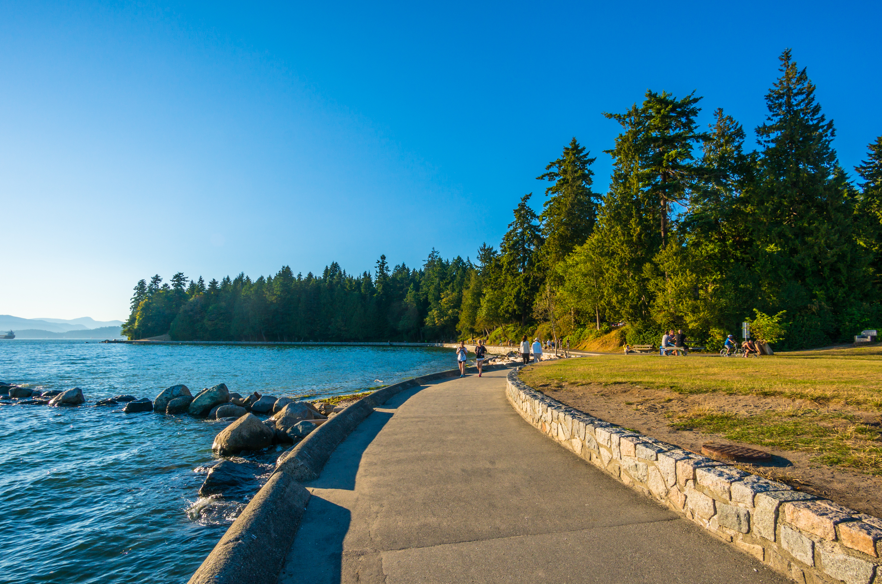 Beyond Stanley Park: Underrated Parks and Green Spaces in Vancouver