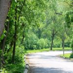 Best Picnic Spot in Toronto: King's Mill Park