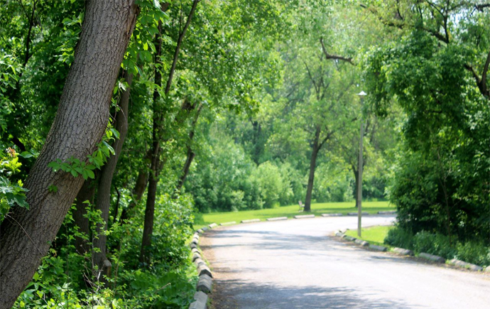 Best Picnic Spot in Toronto: King's Mill Park