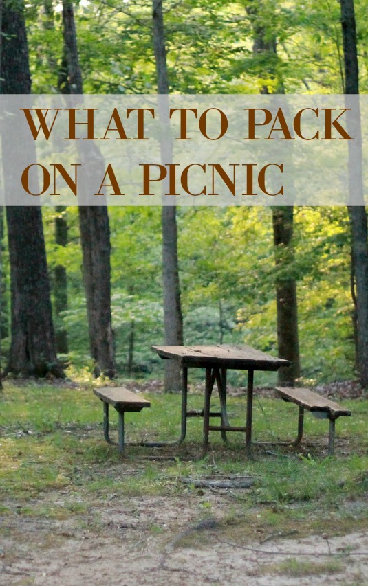 pack-for-a-picnic