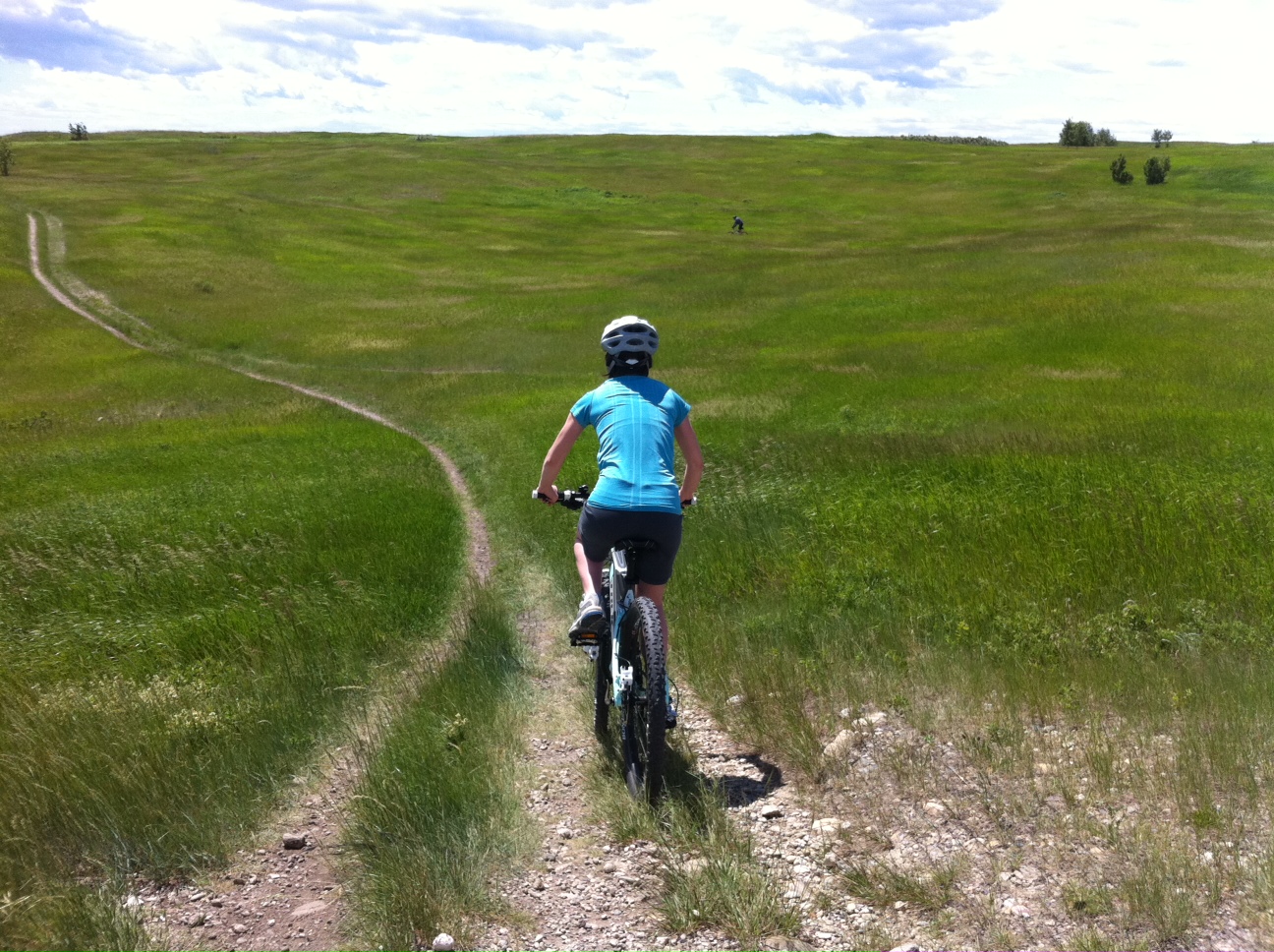 Nose Hill: Calgary Northwest