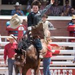 What Not to Miss at This Year’s Calgary Stampede