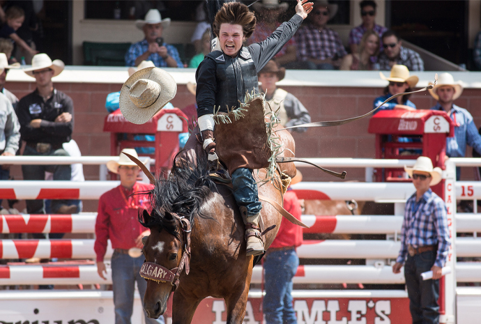 What Not to Miss at This Year’s Calgary Stampede