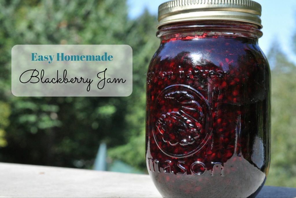 Easy Blackberry Jam Recipe