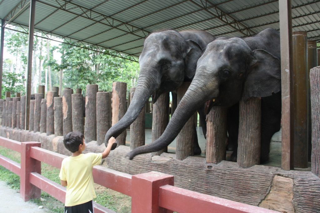 malaysia-2016-1055a malaysia-2016-1055a