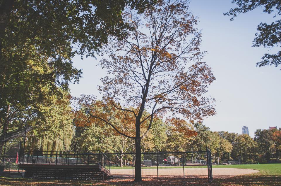baseball diamond baseball diamond