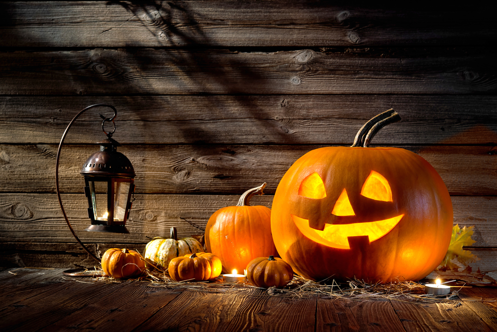 shutterstock_283016600 shutterstock_283016600