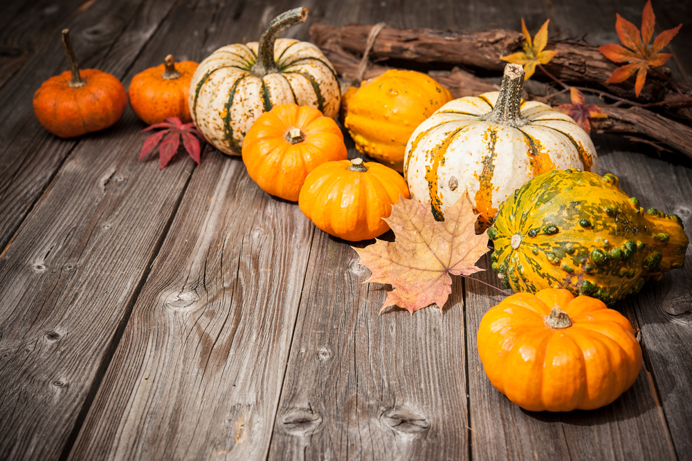 shutterstock_283016633 shutterstock_283016633