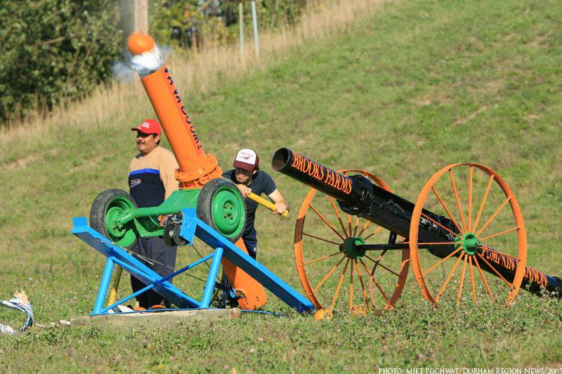 Fall Fun Festival at Brooks Farms