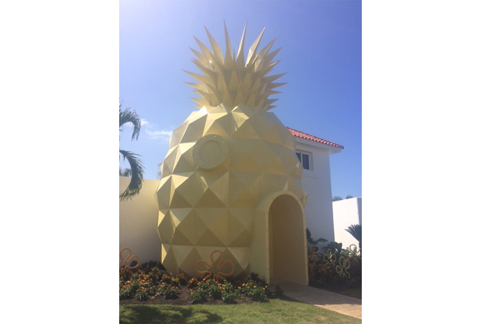 pineapple-nick