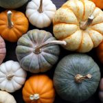 10 Perfect Pumpkin Recipes for Fall