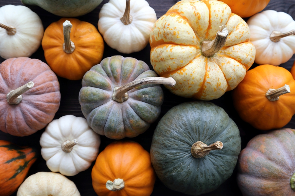 10 Perfect Pumpkin Recipes for Fall