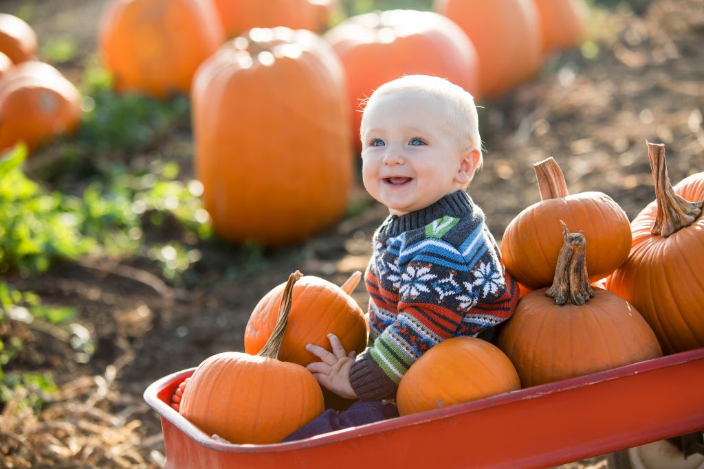 Pumpkin Patches in Vancouver