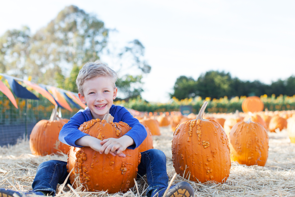 What's on This Thanksgiving Weekend in Toronto