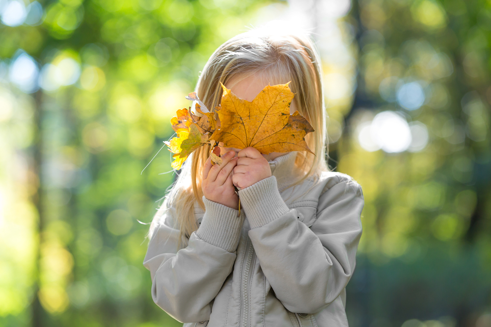 Calgary Guide to November