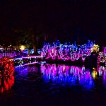 Bright Nights in Stanley Park