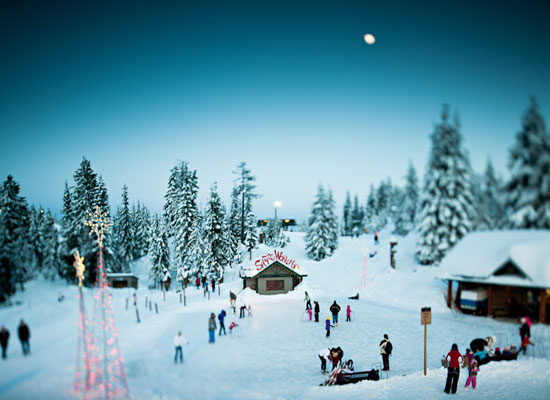 The Peak of Christmas at Grouse Mountain