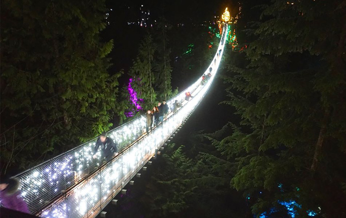 Canyon Lights: Until January 28