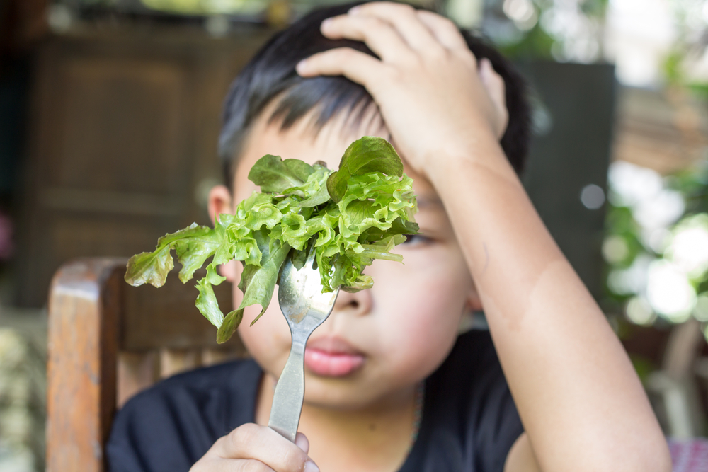 meal plans for picky eaters