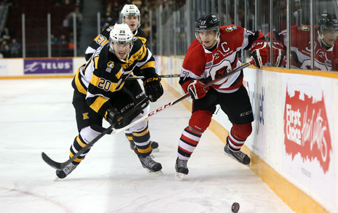 Cheer for the Home Team at the Ottawa 67s Fan Appreciation Game