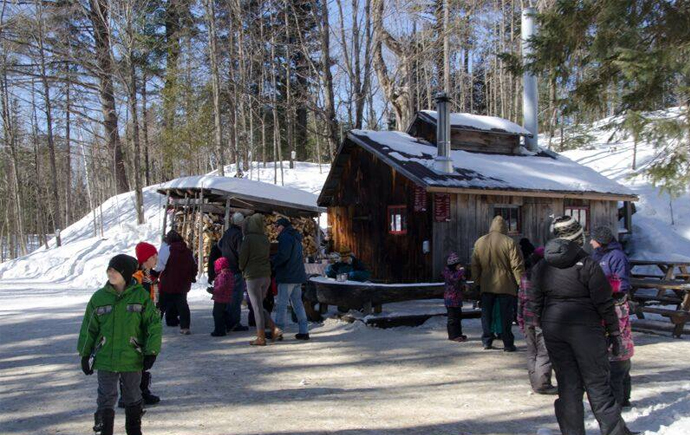 Get in touch with nature at Parc Omega