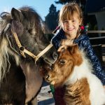 9 Spots in Toronto Where Kids Can Meet Animals