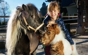 9 Spots in Toronto Where Kids Can Meet Animals