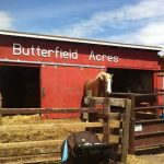 The Great Legendary Easter Hunt at Butterfield Acres