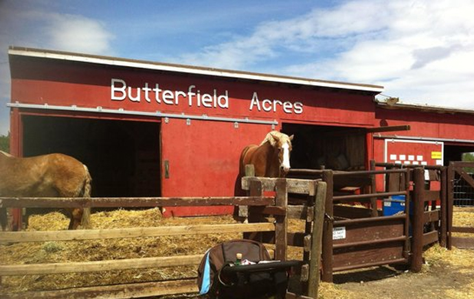 The Great Legendary Easter Hunt at Butterfield Acres