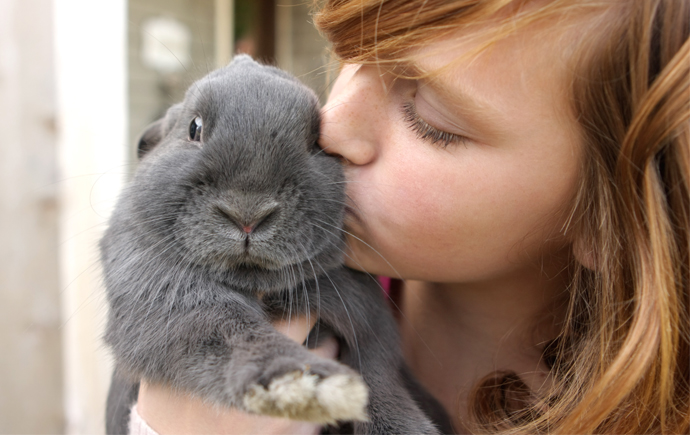 Easter Petting Zoo at Westbrook Mall