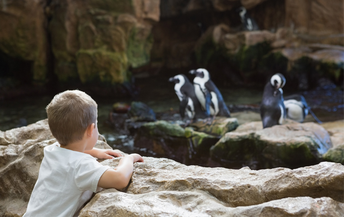 I Volunteered for My Son's Field Trip and Something Amazing Happened