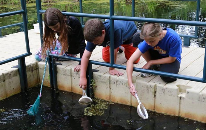 Eco and Nature Workshops or Camps for Kids in Toronto