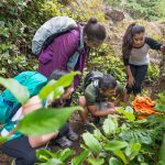 Eco and Nature Workshops or Camps for Kids in Toronto