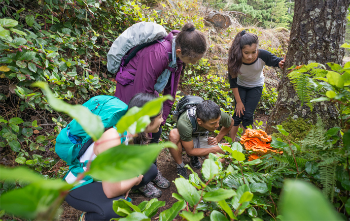 Eco and Nature Workshops or Camps for Kids in Toronto