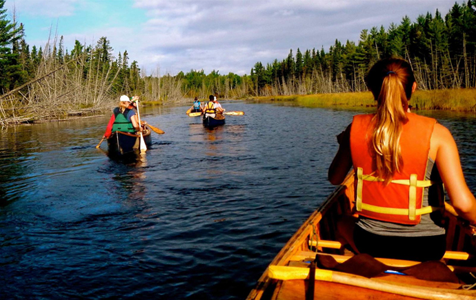 Eco and Nature Workshops or Camps for Kids in Toronto