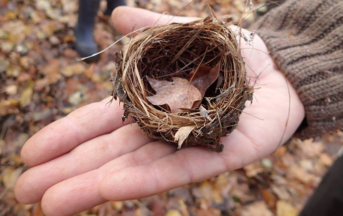 Eco and Nature Workshops or Camps for Kids in Toronto