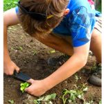 Eco and Nature Workshops or Camps for Kids in Toronto