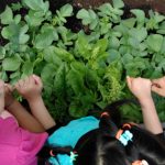 Eco and Nature Workshops or Camps for Kids in Toronto