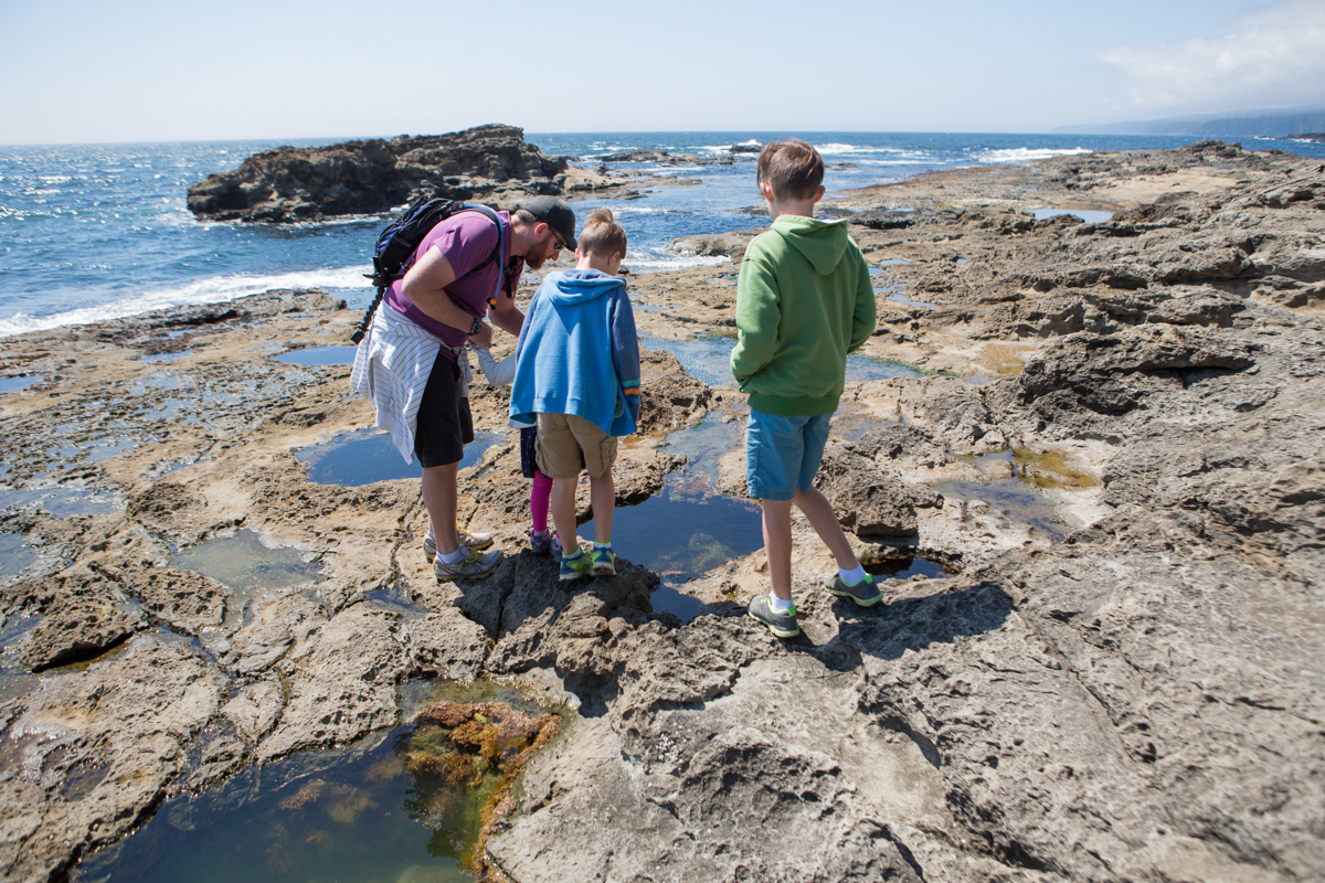 Vancouver Island Road Trip for Active Families - SavvyMom